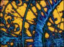 _41961774_overview-cern203.jpg